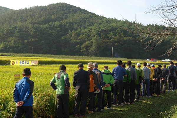 장성군, “쌀 산업 경쟁력 높이자!” 이미지 1