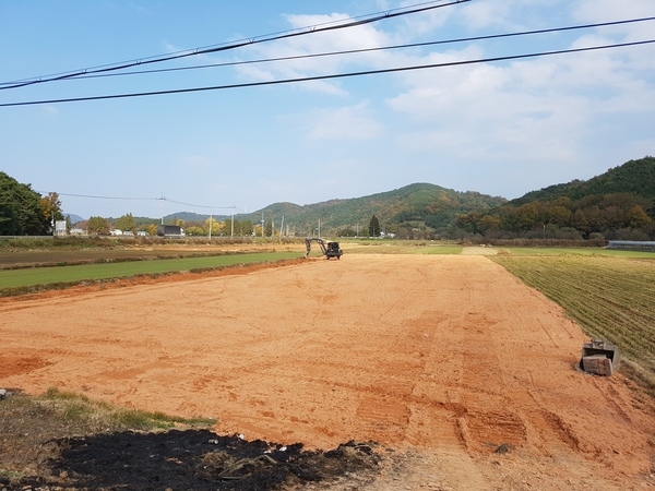 장성군, “땅심 다져 명품잔디 키운다“ [산림편백과] 이미지 1