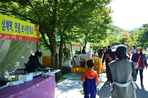 가을의 절정, ‘오색 애기단풍으로 즐긴다’ 이미지 1