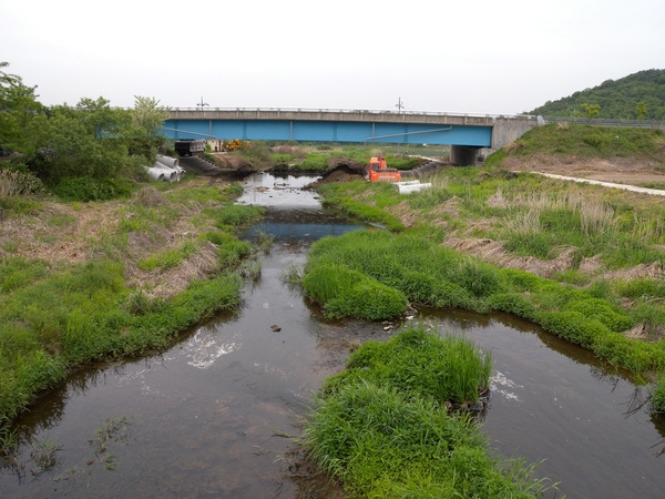 황룡강 이어 평림천… 장성군 하천이 건강해진다 이미지 1
