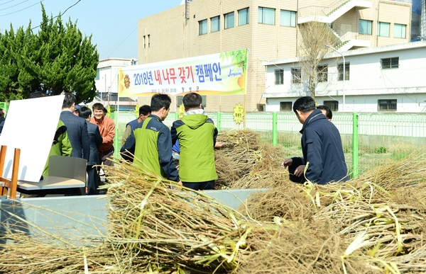 장성군 “다 함께 옐로우시티 만들어봐요” 이미지 1