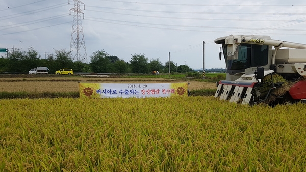 장성군, 추석용 햅쌀 시장 적극 공략 이미지 1