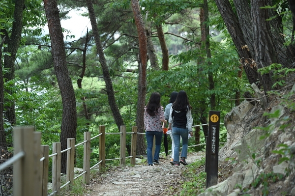 장성호 수변길, ‘9월에 더 걷기 좋다’   이미지 1