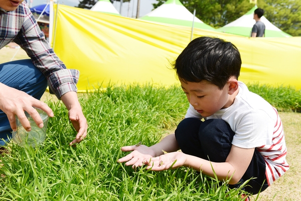 메뚜기로 심리 치유… 장성군, 정서곤충 산업 뛰어든다 이미지 1