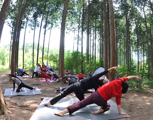 장성군&산림청 “축령산, 대한민국 대표 휴양・치유쉼터로” 이미지 1