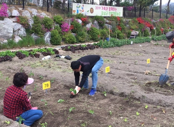 장성군, 가족과 함께 안전한 먹거리 가꾼다 이미지 1