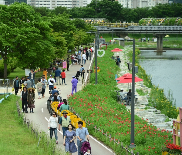“장성에서는… 황룡강 꽃길만 걷자!” 이미지 2