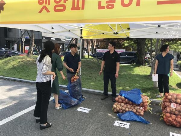 단단하고 즙이 풍부한 ‘장성양파’ 대만에서도 인정 이미지 3