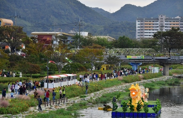 장성 황룡강 노란꽃잔치 “오매, 대박 났네!” 이미지 1