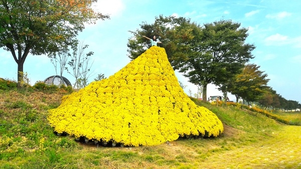 장성 황룡강, “어디를 가든(garden) 아름답네!” 이미지 1