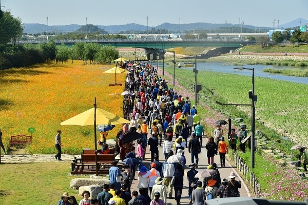 장성 황룡강 노란꽃잔치, 대한민국 대표 꽃축제 ‘인증’ 이미지 1