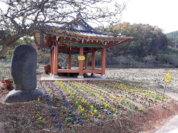 “마을마다 꽃이 핀다” 장성군 ‘게릴라 가든’ 화제! 이미지 2