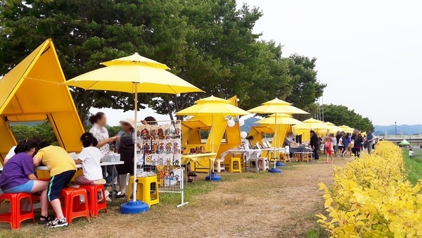 노란꽃창포, 금영화… 장성 황룡강의 봄이 기다려진다 이미지 4