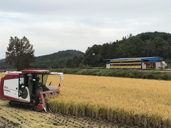 장성군, 2019년산 쌀 변동직불금 ‘2월 내 지급’ 이미지 1