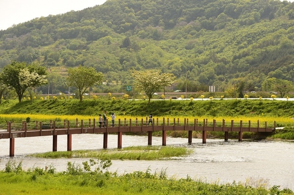 장성 황룡강변, ‘황금빛’으로 살아난다 이미지 2