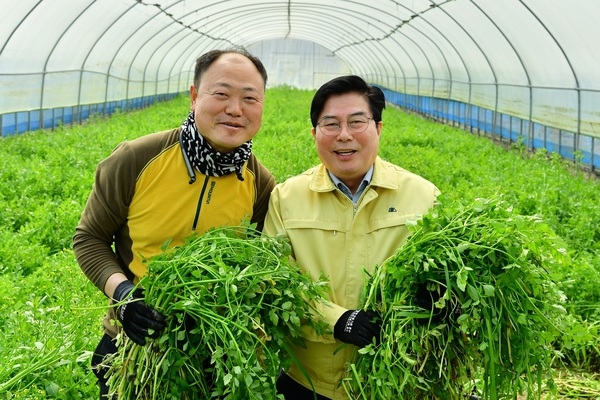 유두석 장성군수, 관내 미나리 재배농가 격려 이미지 1