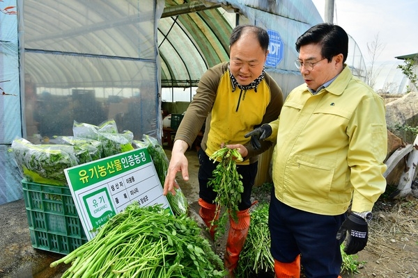 유두석 장성군수, 관내 미나리 재배농가 격려 이미지 2