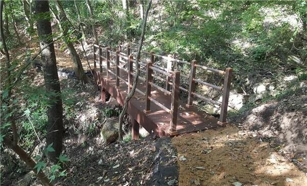 장성군, 등산객 안전 위해 ‘숲길 정비’ 추진 이미지 1