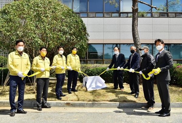 장성군, 50년 수령 ‘금목서’ 군청 광장에 새로 자리 잡아 이미지 1