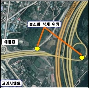 장성군, 국도 나들목에 ‘황금능소화’ 식재 이미지 3