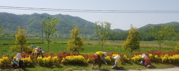 장성군 어르신, ‘일자리사업 재개’로 활력 찾아 이미지 2