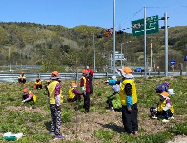 장성군 어르신, ‘일자리사업 재개’로 활력 찾아 이미지 1