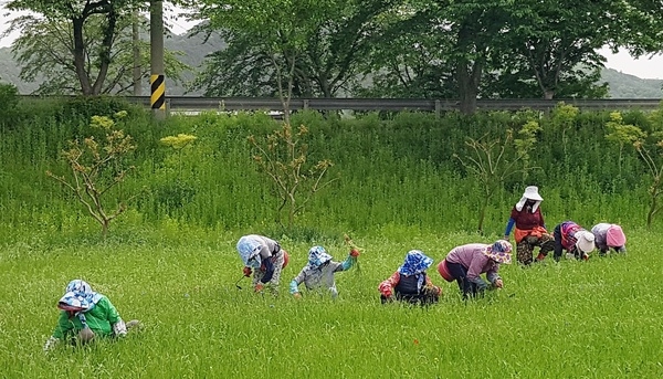 장성군, 포스트 코로나 대응 ‘일자리 창출’ 본격 시동 이미지 1