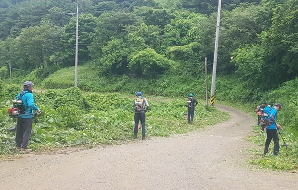장성군 “북하면 청년회, 도로변 풀베기 봉사” 이미지 1