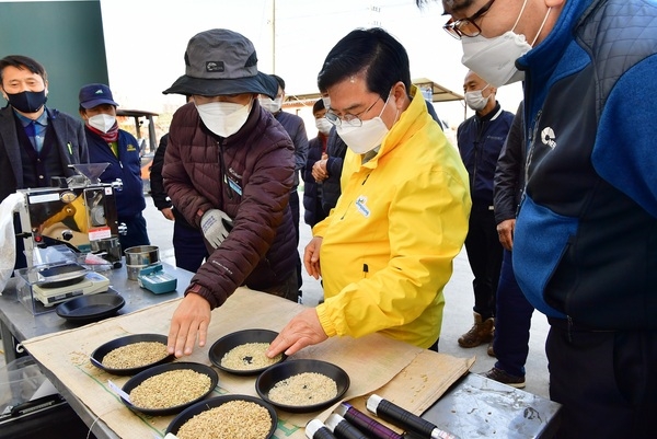 장성군, 공공비축미곡(건조벼) 매입 시작 이미지 1
