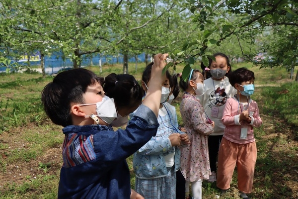 장성군 삼서 사과테마공원, 민간 위탁 운영 성과 돋보여 이미지 3