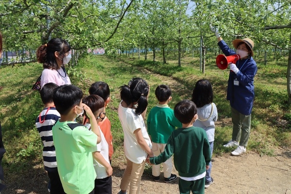 장성군 삼서 사과테마공원, 민간 위탁 운영 성과 돋보여 이미지 1