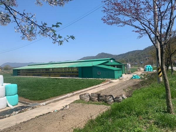 장성군, 북일면 수해 방지에 국비 60억원 확보… 지역 주민 ‘환호’ 이미지 1