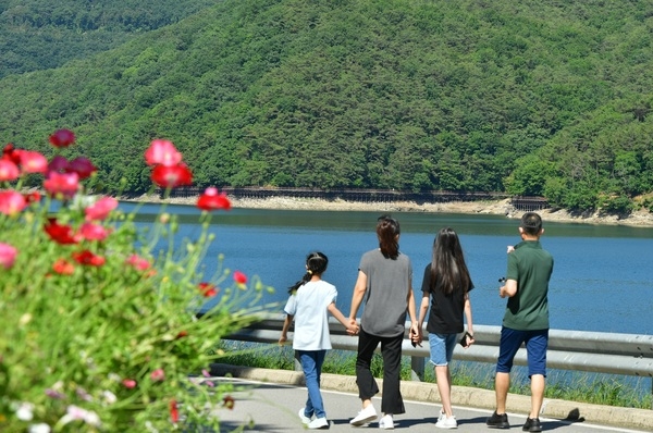 장성군 “황금대나무숲 맑은 공기 마시며, 장성호 수변길 걸어요” 이미지 1