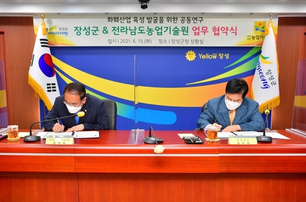 노란꽃의 도시 옐로우시티 장성, 전남농기원과 ‘화훼산업 육성 및 발전’ 업무협약 체결 이미지 2