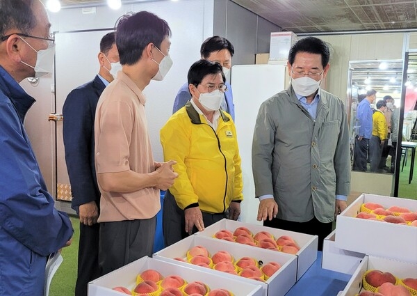 장성군-전남도 “파트너십 발휘해 ‘청년농업인’ 지원” 이미지 2