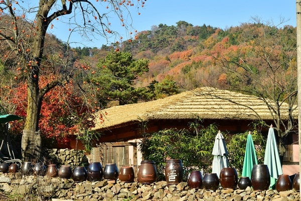 장성 축령산, 위드 코로나 시대 국민 안식처로! 이미지 2