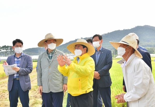 유두석 장성군수, 김영록 지사와 벼 수확현장 방문 이미지 1