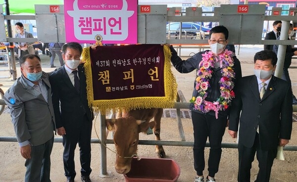 장성군, 전남 한우경진대회서 ‘그랜드 챔피언’ 수상! 이미지 1