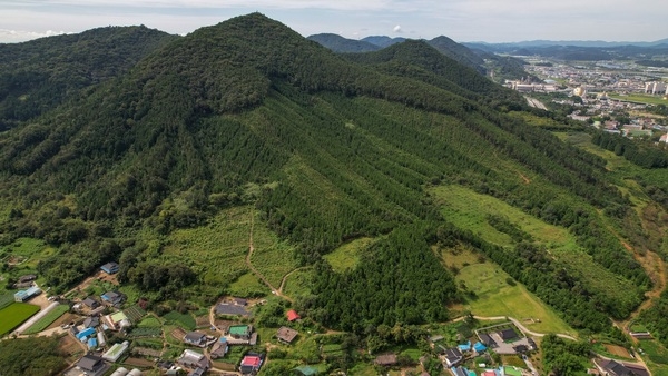 장성 제봉산, 산림청 숲가꾸기 사업 평가 ‘우수상’ 이미지 1