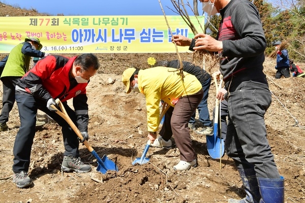 장성군, 식목일 기념 나무심기… 5만 군민 희망도 심었다 이미지 2