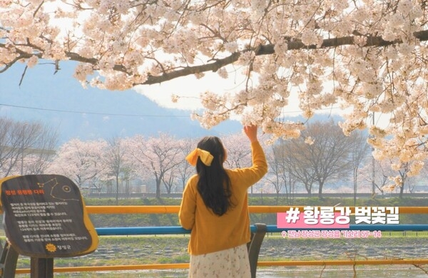 장성 관광 알리는 ‘숏폼’ 콘텐츠 제작된다 이미지 1