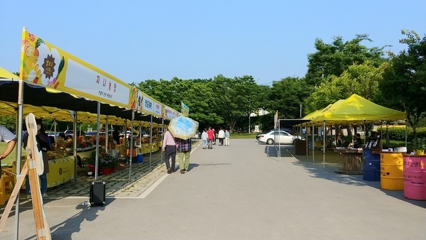 장성군, ‘황룡강 노란꽃장터’ 운영 업체 모집  이미지 1