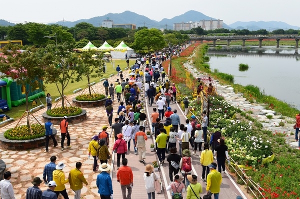 장성 황룡강 (洪)길동무 꽃길축제, 3년 만에 다시 열린다 이미지 1