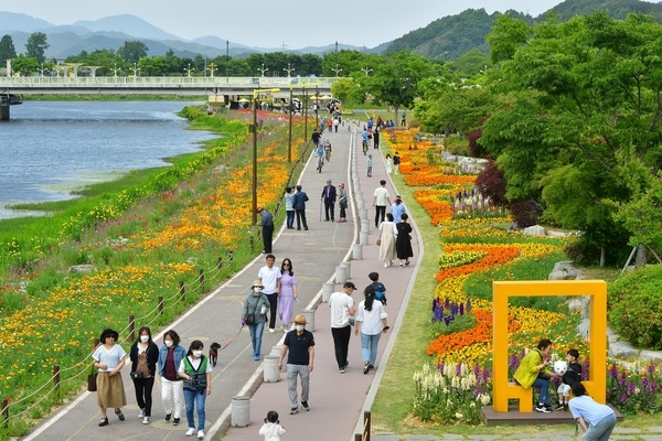 “3년 만입니다” 장성 황룡강 (洪)길동무 꽃길축제 개막! 이미지 1