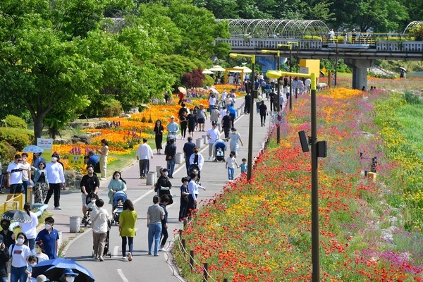 [포토뉴스] 장성 황룡강 (洪)길동무 꽃길축제, 3일 만에 7만 명 발길 모았다 이미지 2