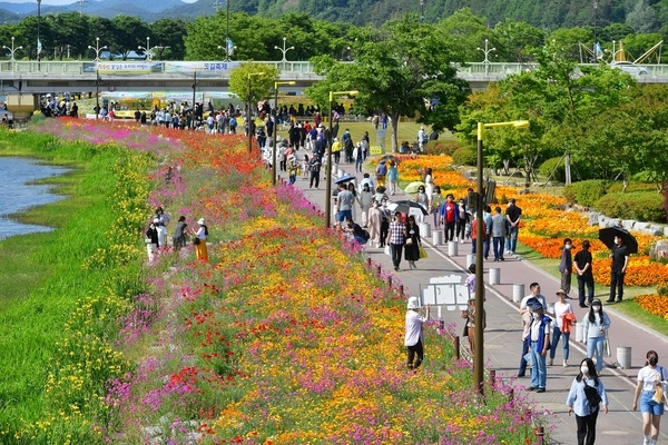 [포토뉴스] 장성 황룡강 (洪)길동무 꽃길축제, 3일 만에 7만 명 발길 모았다 이미지 1