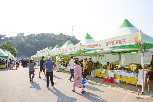 장성 황룡강 노란꽃장터, 축제기간 6000만 원 수익 ‘대박’! 이미지 1