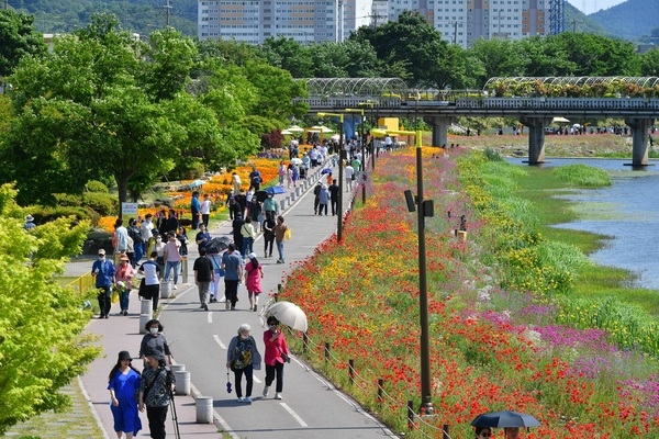 장성 황룡강 봄꽃에 32만 명 반했다… 지역 경제도 ‘활짝’ 이미지 3