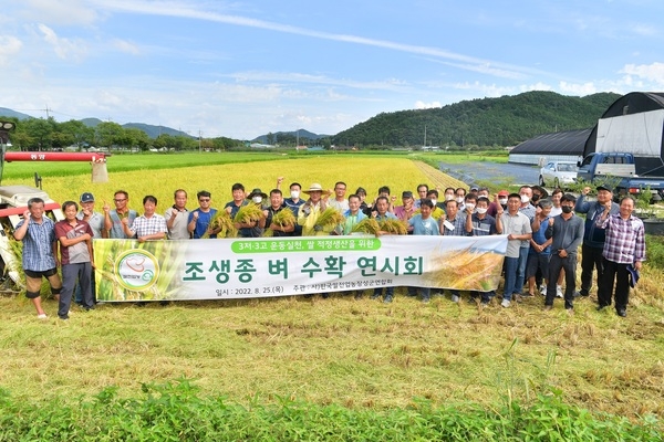 장성군, 조생종 벼 수확… 풍년 예감! 이미지 2