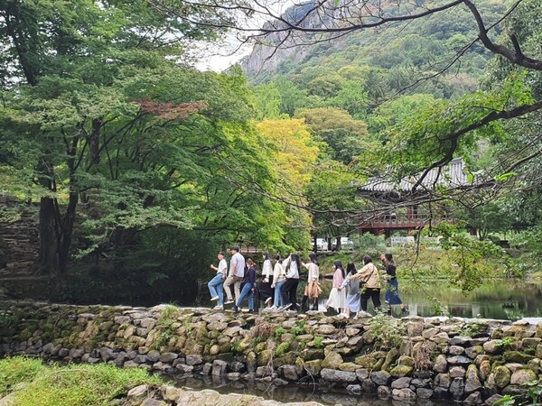 대학생 기자단, 장성 황룡강 가을꽃에 ‘흠뻑’ 이미지 2